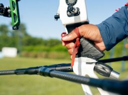 Precision and Power in Sport Shooting and Firearms