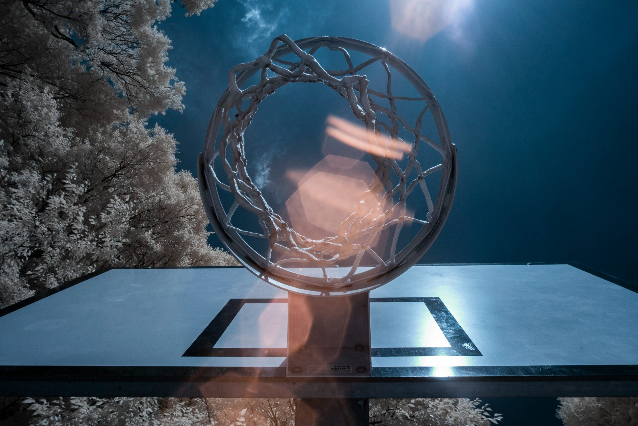 How Basketball Became a Global Phenomenon and Captured the World